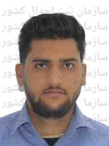 تصویر محمدرضا شفیعی رونیزی