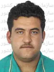 تصویر حمید علی پورشام اسبی