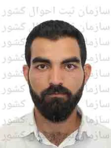 تصویر پویا قره بیگی