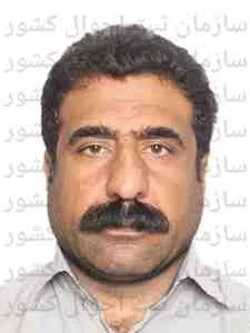 تصویر علی حسنی