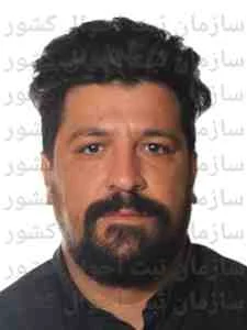 تصویر میثم سعیدی