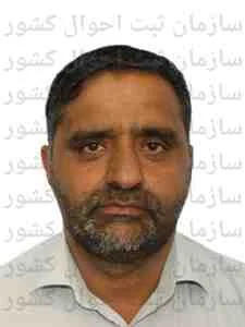 تصویر تولیدی زنبور داری شهد گل کوهساران