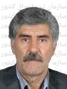 تصویر علی اصغر همتی