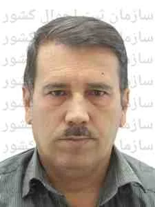 تصویر نفس علی نفیس