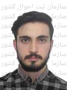 تصویر توسعه تجارت استیل و کالای آریا