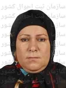تصویر کبری نقدینه