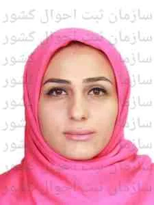 تصویر سیمرغ آکام البرز