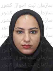 تصویر پیشخوان خدمات دولت و بخش عمومی غیر دولتی ایده پرداز پارسیان