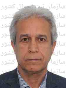 تصویر علی آتش برقی