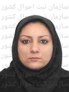 تصویر اصلی فردگنجی