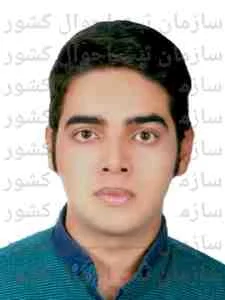 تصویر توسعه تجارت کار زاد