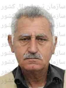 تصویر علی داودی نیکو