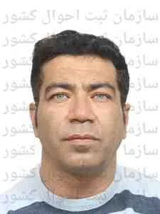 تصویر حامد حبیبی فیضی