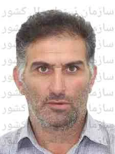 تصویر مرتضی پایدار