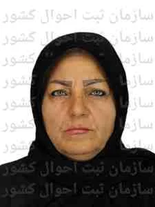 تصویر پروانه پیرمردوندچگینی