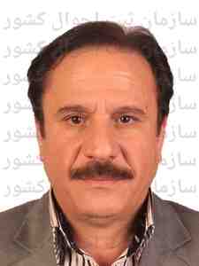 تصویر سیدضیاءالدین محمدی