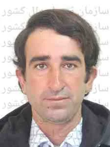 تصویر علی علی حاجی آرانی
