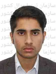 تصویر علی گرگیج