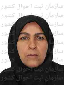 تصویر منظر درندیس