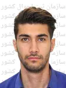 تصویر سیاوش فروزش