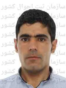 تصویر پرویز محمودی