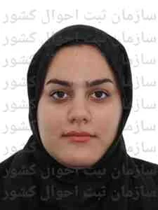 تصویر ویرا خدمات الکترونیک ایرانیان