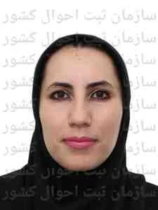 تصویر الین سام تجارت فرتاک