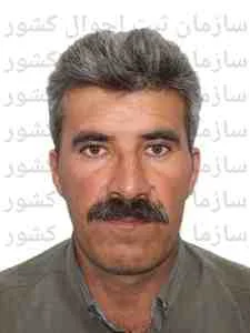 تصویر علی رحیمی بیگی