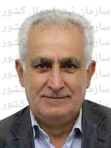 تصویر رضا امین