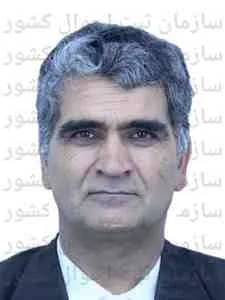 تصویر سیدمحمد وزیری