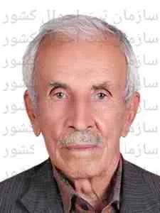 تصویر علی حقیقی پور