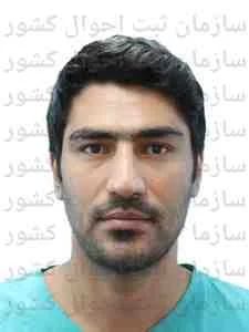 تصویر حامد داوری