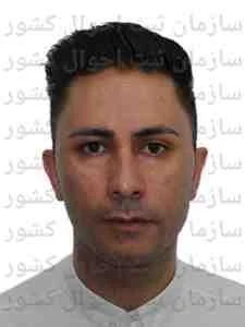 تصویر علی ابراهیم زاده