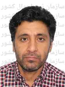 تصویر علی باقری