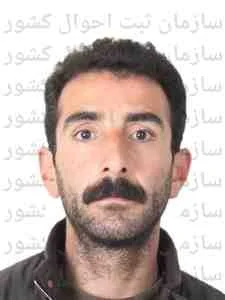 تصویر توحید فضلی